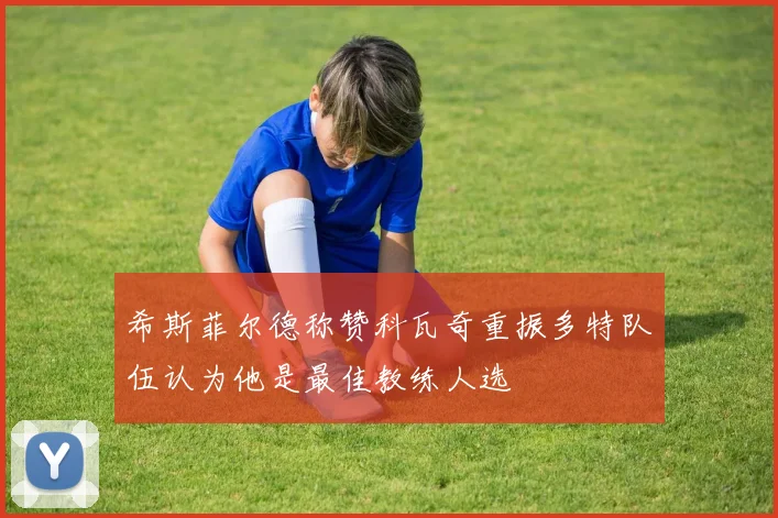 希斯菲尔德称赞科瓦奇重振多特队伍认为他是最佳教练人选