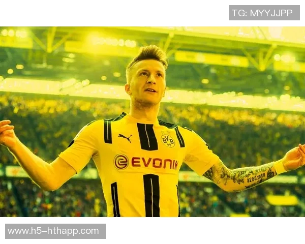 罗伊斯力挺布兰特留队多特未来合作前景可期